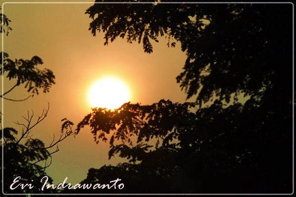 senja2