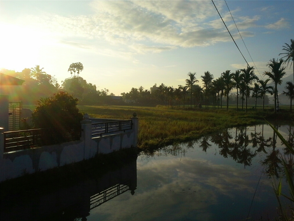 35 Ide Gambar Pemandangan  Embun Pagi Cakrawala